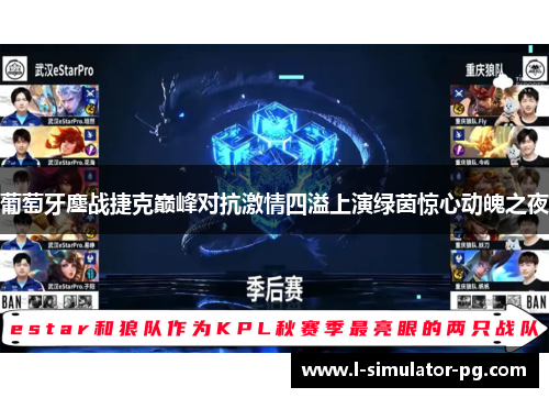 葡萄牙鏖战捷克巅峰对抗激情四溢上演绿茵惊心动魄之夜